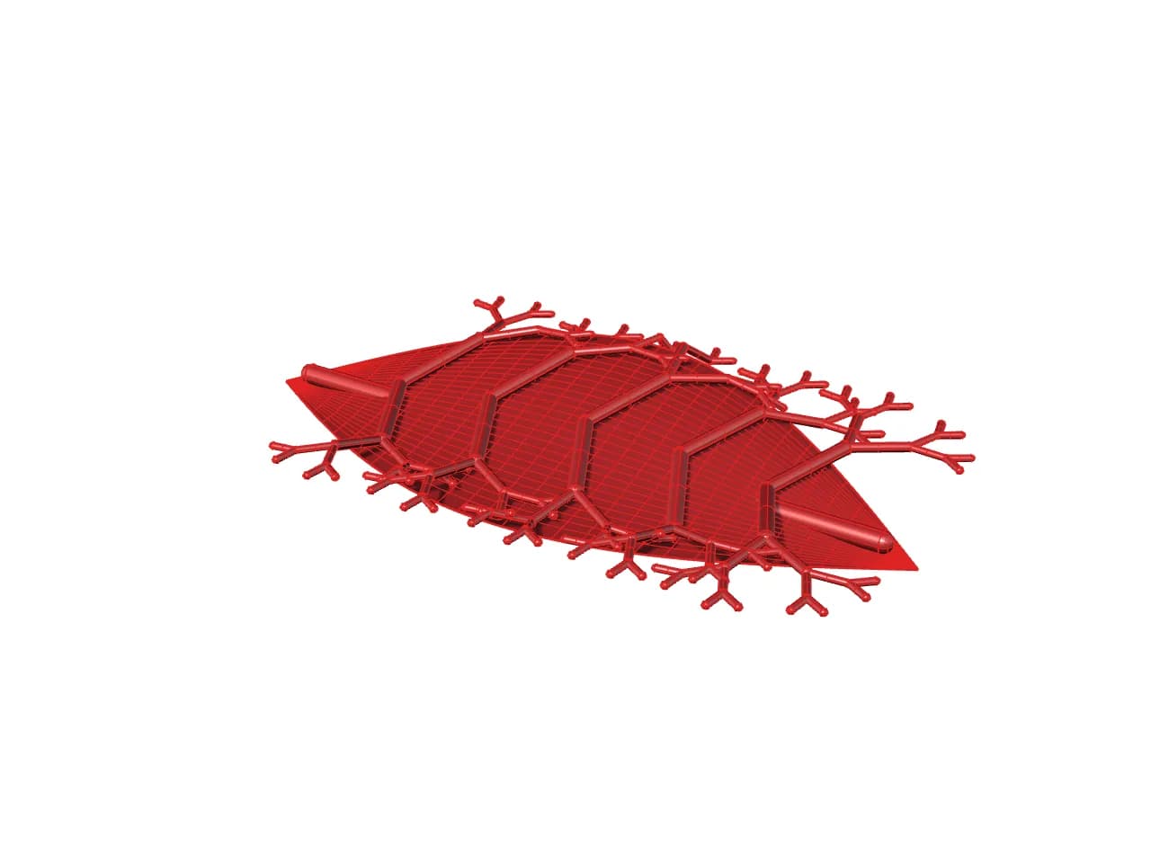 Level088 Leaf Venation
