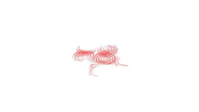 L069 Flow Field