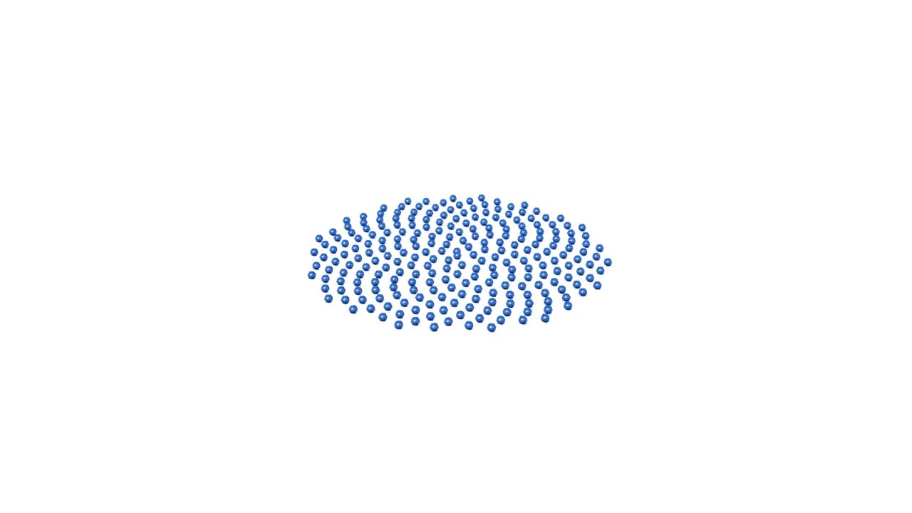 Level031 Phyllotaxis (黄金角配置) — model
